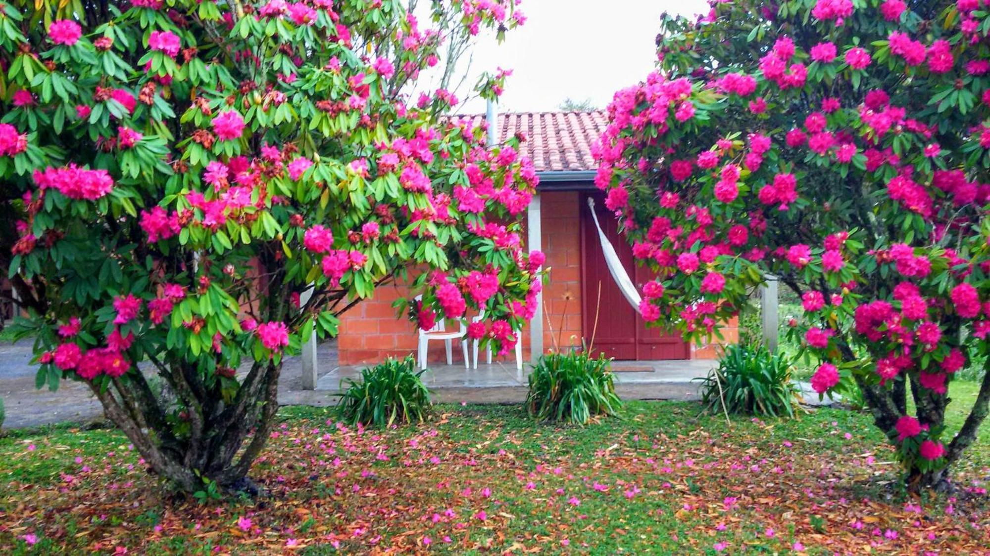 Recanto da Natureza Gonçalves Esterno foto