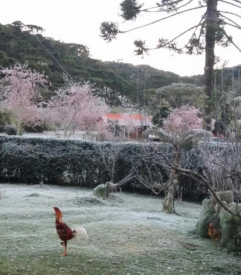 Recanto da Natureza Gonçalves Esterno foto